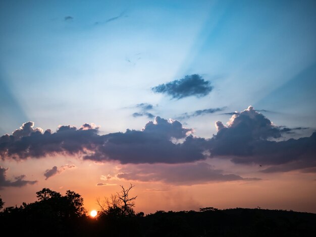 Foto vista de ângulo baixo de silhuetas de árvores contra o céu durante o pôr do sol