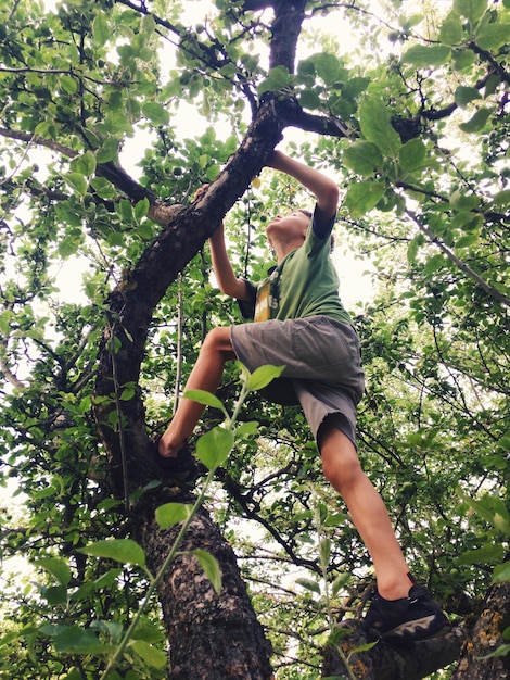 Foto vista de ângulo baixo de um menino escalando uma árvore