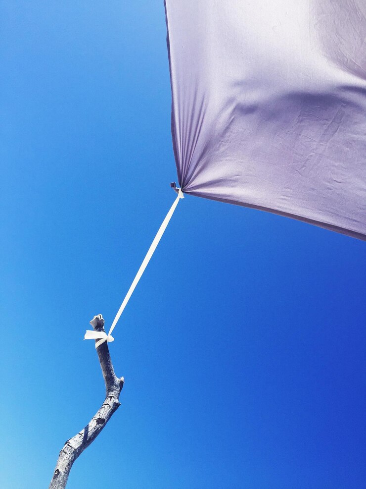 Foto vista de ângulo baixo de um pássaro voando contra um céu azul claro