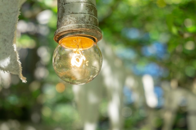 Vista de ângulo baixo de uma lâmpada pendurada contra uma árvore