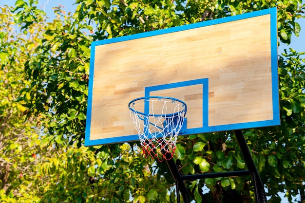 Foto vista de ângulo baixo do aro de basquete contra as árvores