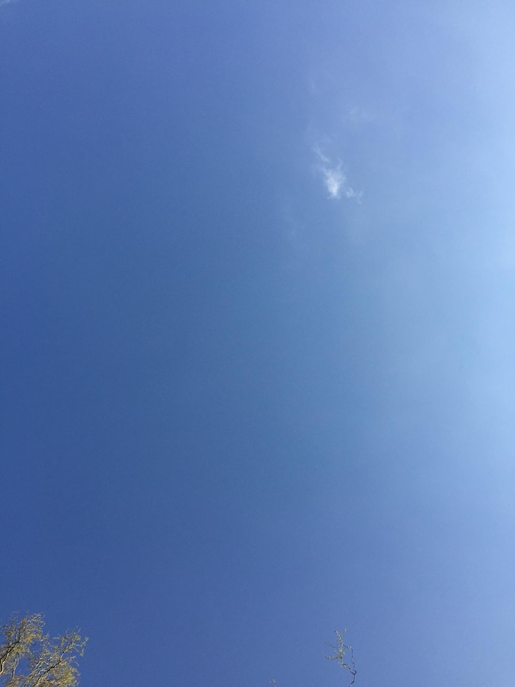 Foto vista de ângulo baixo do céu azul