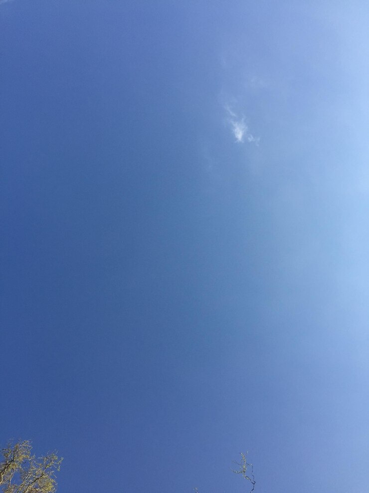 Foto vista de ângulo baixo do céu azul