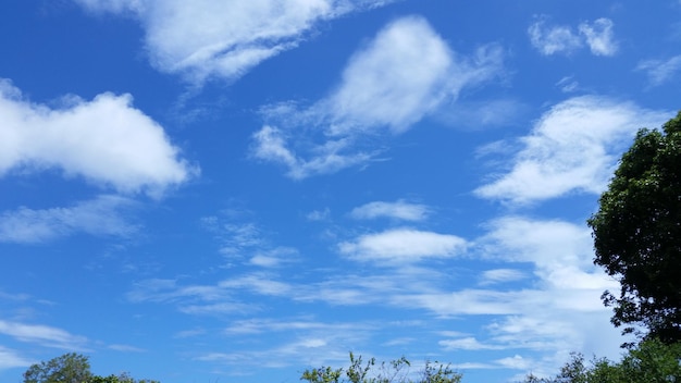 Vista de ângulo baixo do céu azul