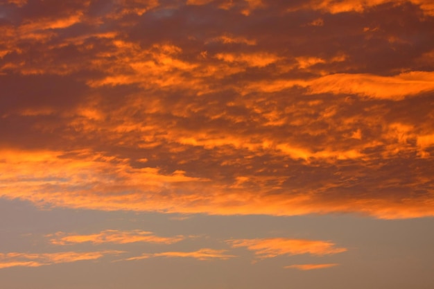 Foto vista de ângulo baixo do céu laranja