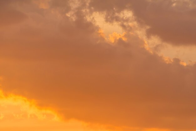 Foto vista de ângulo baixo do céu laranja