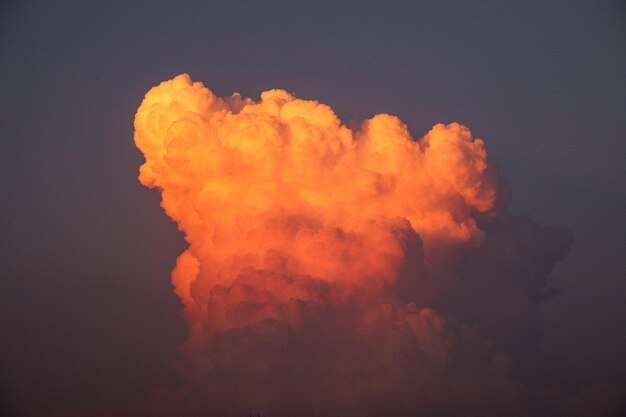 Foto vista de ângulo baixo do céu laranja