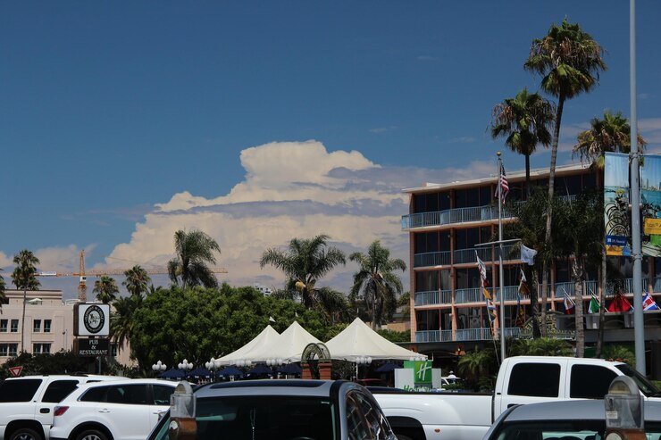 Foto vista de árvores contra o céu azul