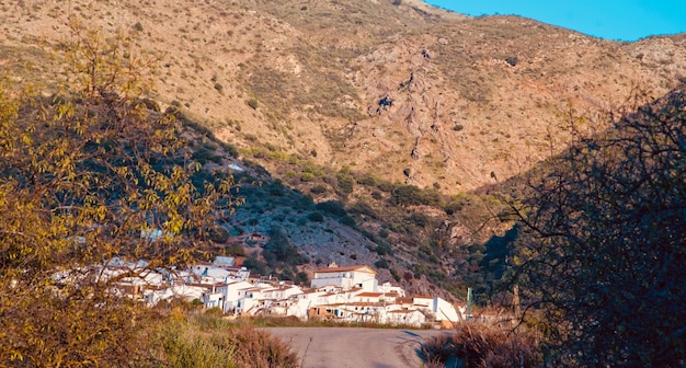 Vista de árvores e edifícios em alto ângulo