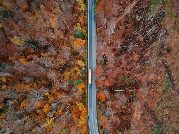 Foto vista de árvores em alto ângulo durante o outono