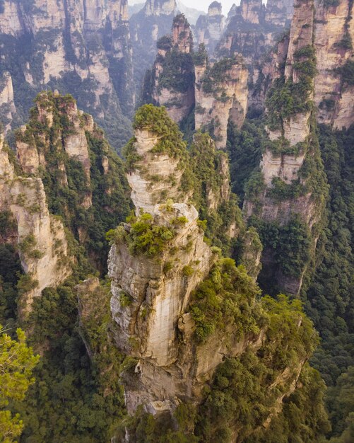 Foto vista de árvores em formações rochosas