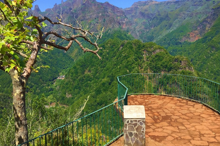 Foto vista de árvores na paisagem