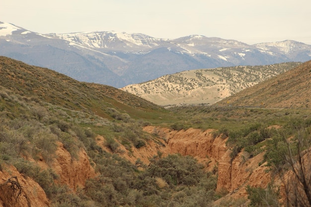 Foto vista de árvores verdes, rocha vermelha e montanhas nevadas