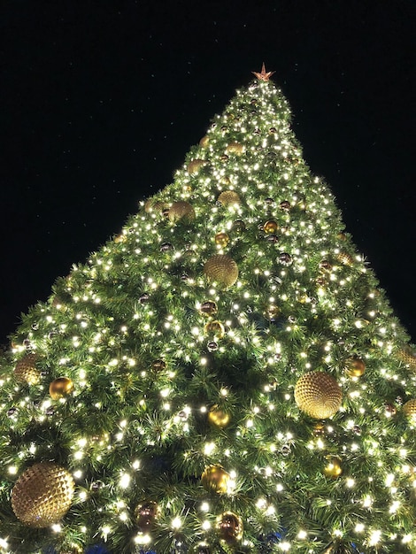 Foto vista de baixo ângulo da árvore de natal iluminada à noite