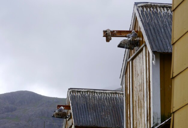 Foto vista de baixo ângulo da casa contra o céu