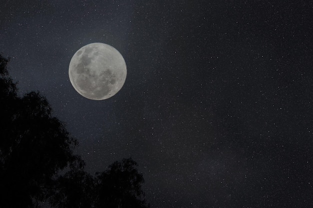 Vista de baixo ângulo da lua contra o campo de estrelas à noite