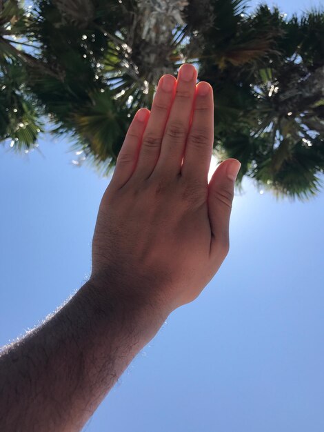 Foto vista de baixo ângulo da mão do homem contra o céu