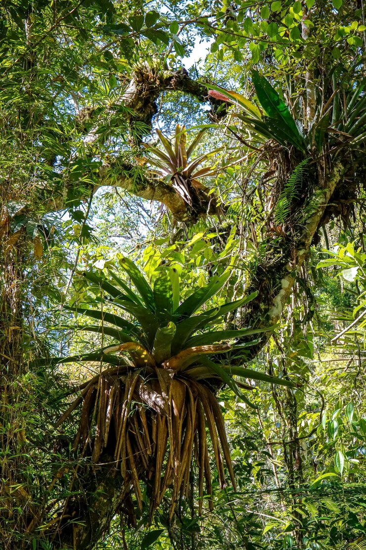 Foto vista de baixo ângulo da palmeira