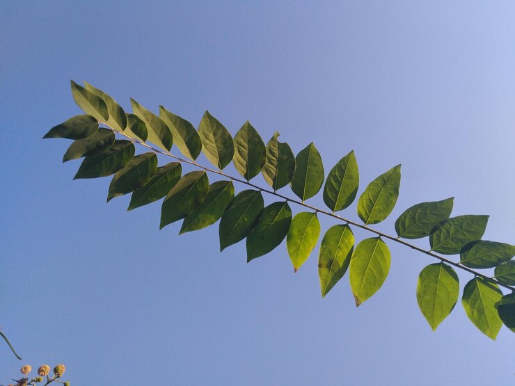Foto vista de baixo ângulo da planta contra o céu azul claro