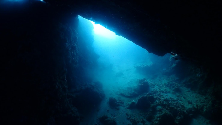 Foto vista de baixo ângulo de águas-vivas nadando no mar