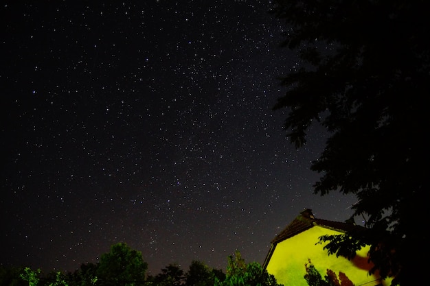 Foto vista de baixo ângulo de árvores contra o céu à noite
