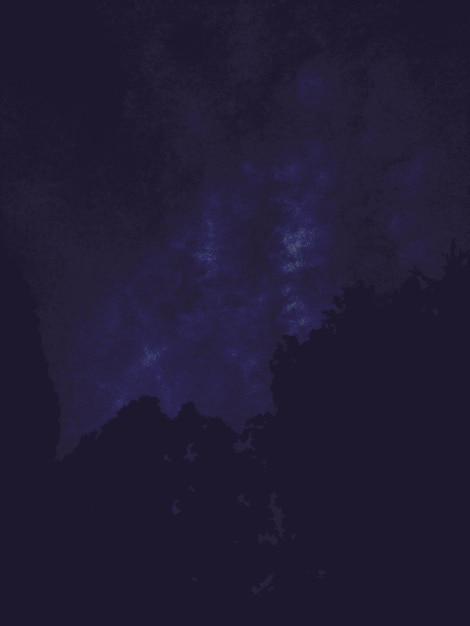 Foto vista de baixo ângulo de árvores contra o céu à noite