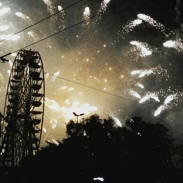 Foto vista de baixo ângulo de árvores contra o céu