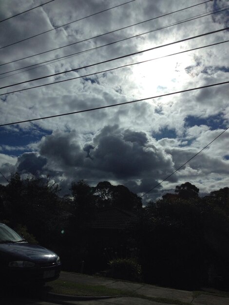 Foto vista de baixo ângulo de árvores contra o céu