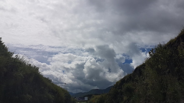 Foto vista de baixo ângulo de árvores contra o céu