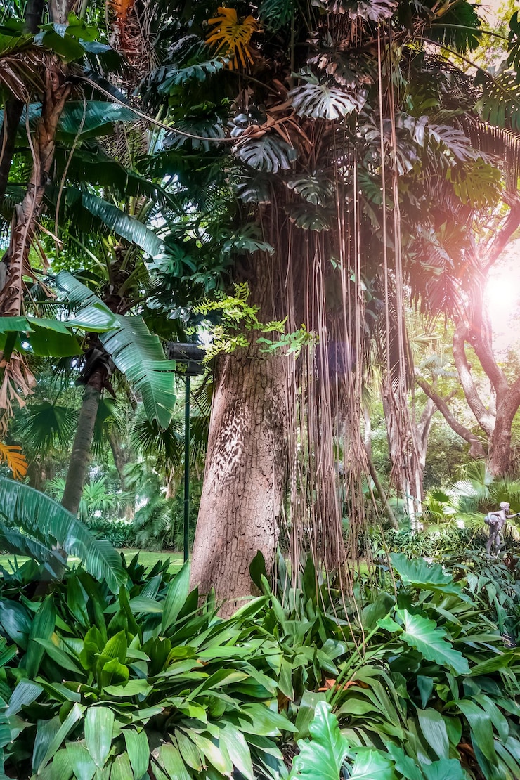 Foto vista de baixo ângulo de árvores na floresta