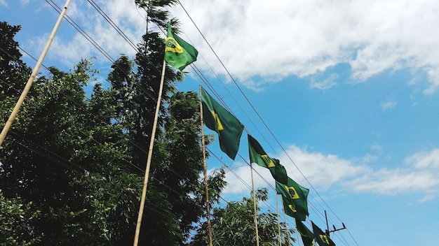 Foto vista de baixo ângulo de bandeiras brasileiras agitando por árvores contra o céu nublado