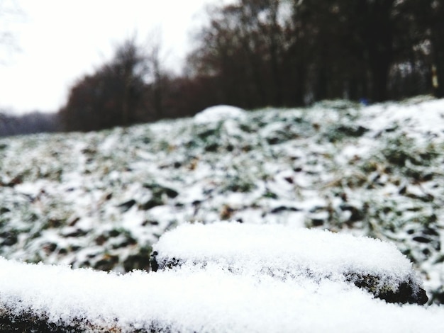 Foto vista de baixo ângulo de campo coberto de neve