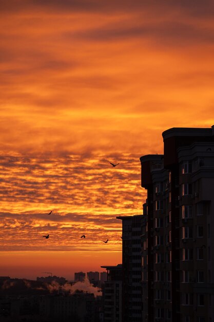 Foto vista de baixo ângulo de edifícios contra o céu durante o pôr do sol