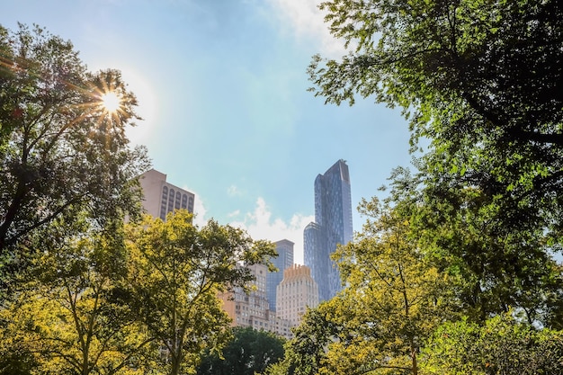 Vista de baixo ângulo de edifícios e árvores no Central Park