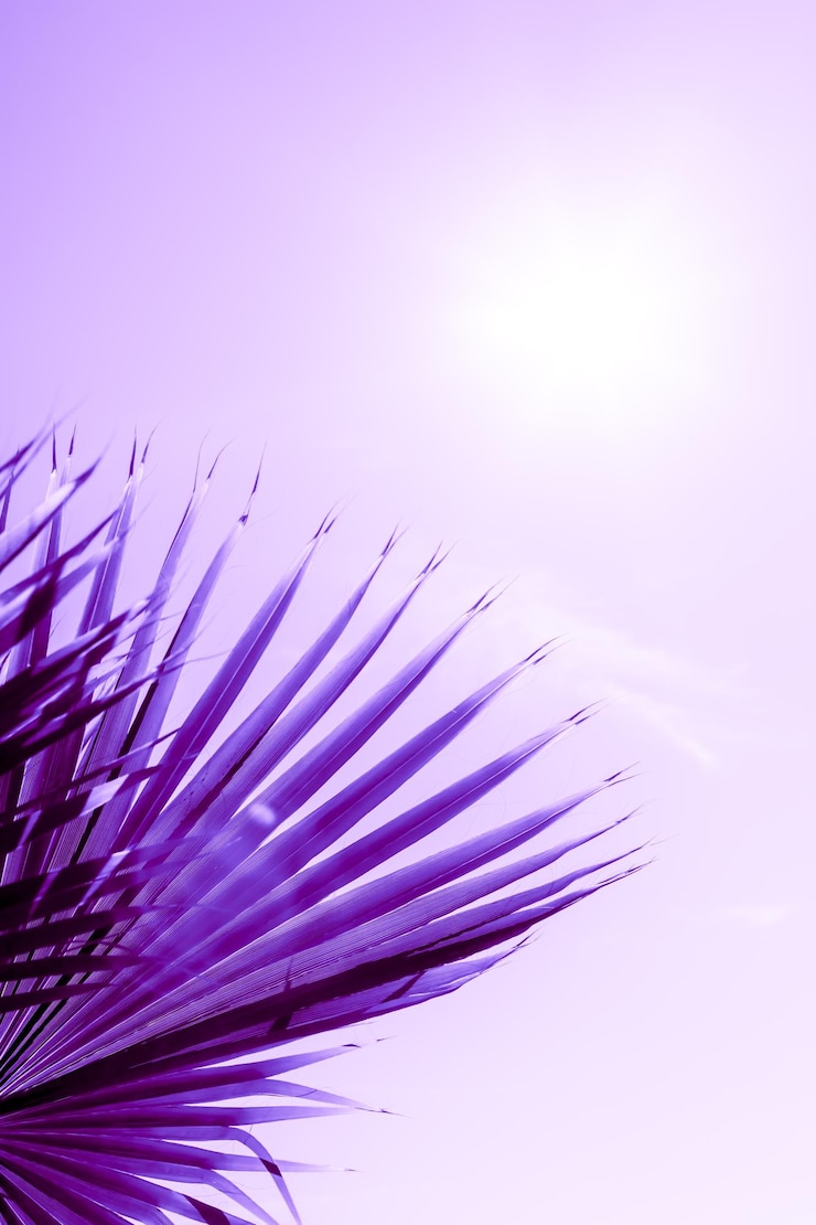 Foto vista de baixo ângulo de flor roxa contra o céu