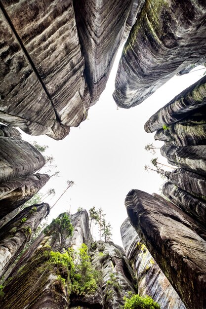 Foto vista de baixo ângulo de formações rochosas contra o céu na floresta