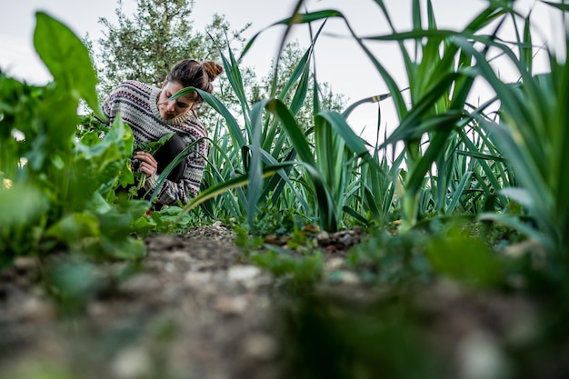 Vista de baixo ângulo de mulheres em planta no campo