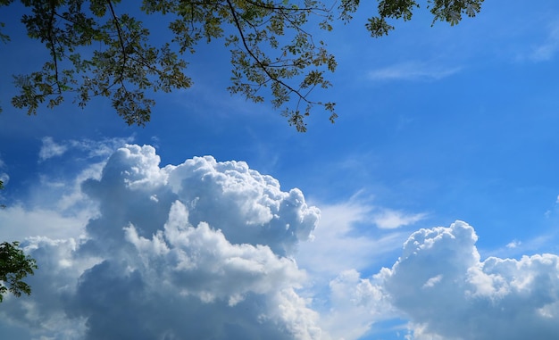 Vista de baixo ângulo de nuvens no céu azul