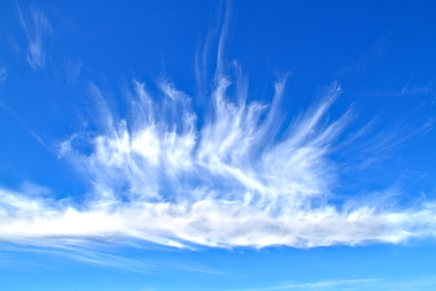 Foto vista de baixo ângulo de nuvens no céu