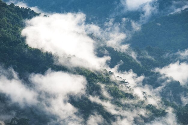 Vista de baixo ângulo de nuvens no céu