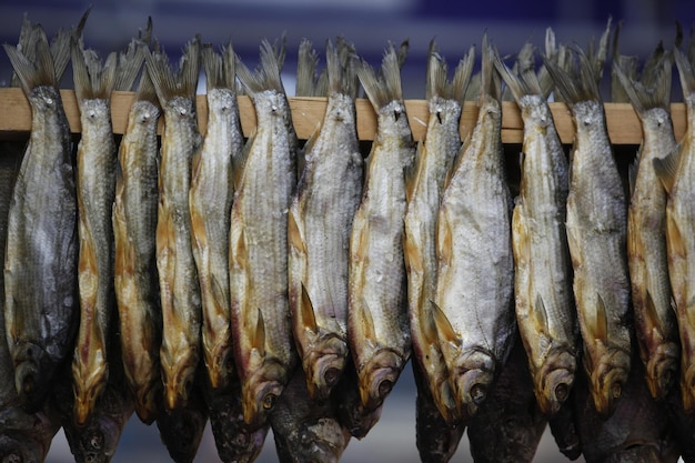 Vista de baixo ângulo de peixes pendurados ao ar livre