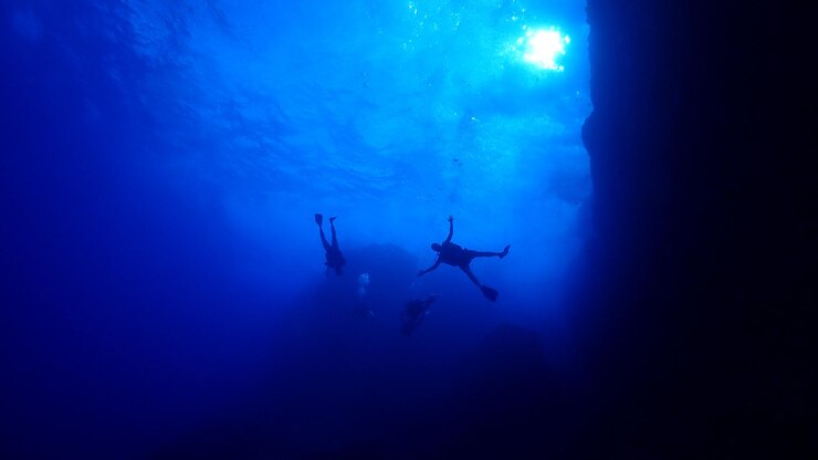 Foto vista de baixo ângulo de pessoas nadando no mar
