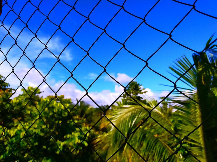 Foto vista de baixo ângulo de plantas contra o céu