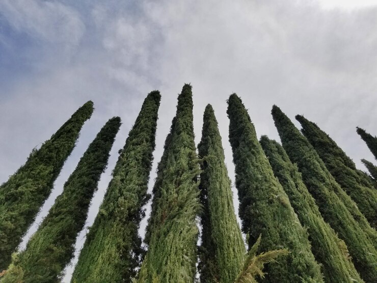 Foto vista de baixo ângulo de terra coberta de neve contra o céu