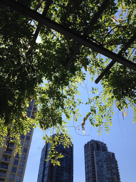 Foto vista de baixo ângulo de um edifício moderno