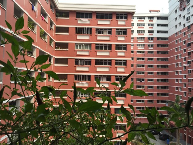 Vista de baixo ângulo do edifício com plantas em primeiro plano