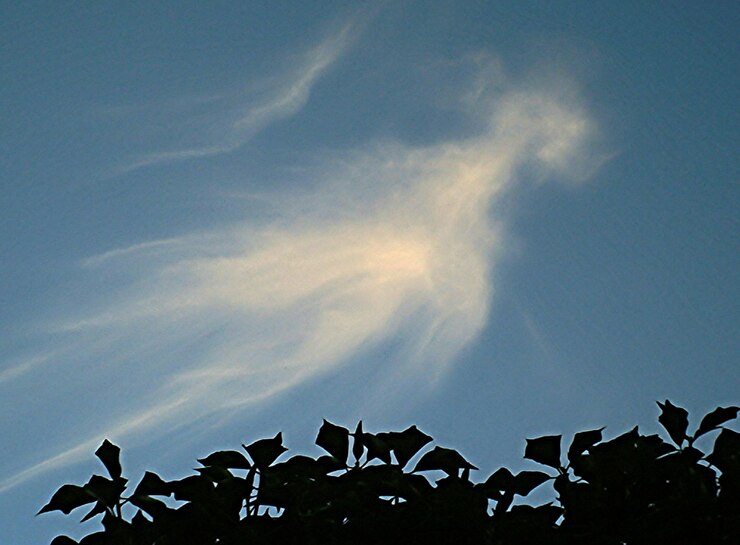 Foto vista de baixo ângulo do edifício contra o céu azul