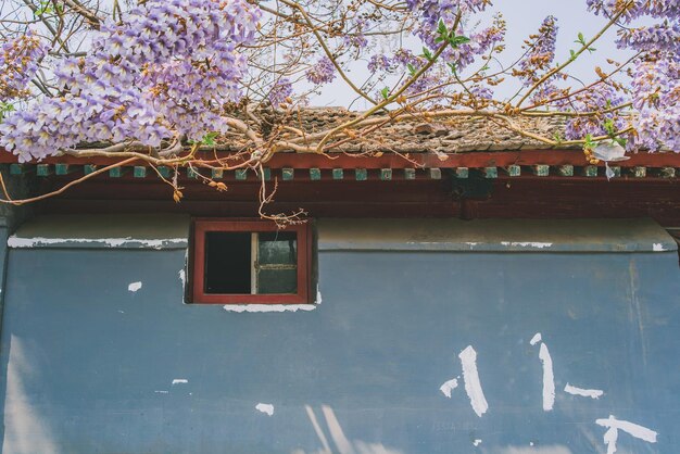 Foto vista de baixo ângulo do edifício contra o céu azul