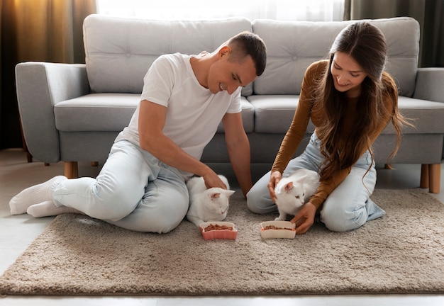 Foto vista de belos gatos brancos de interior