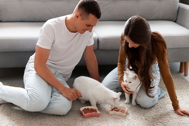 Foto vista de belos gatos brancos de interior